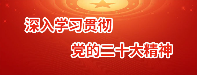 二十次全国代表大会